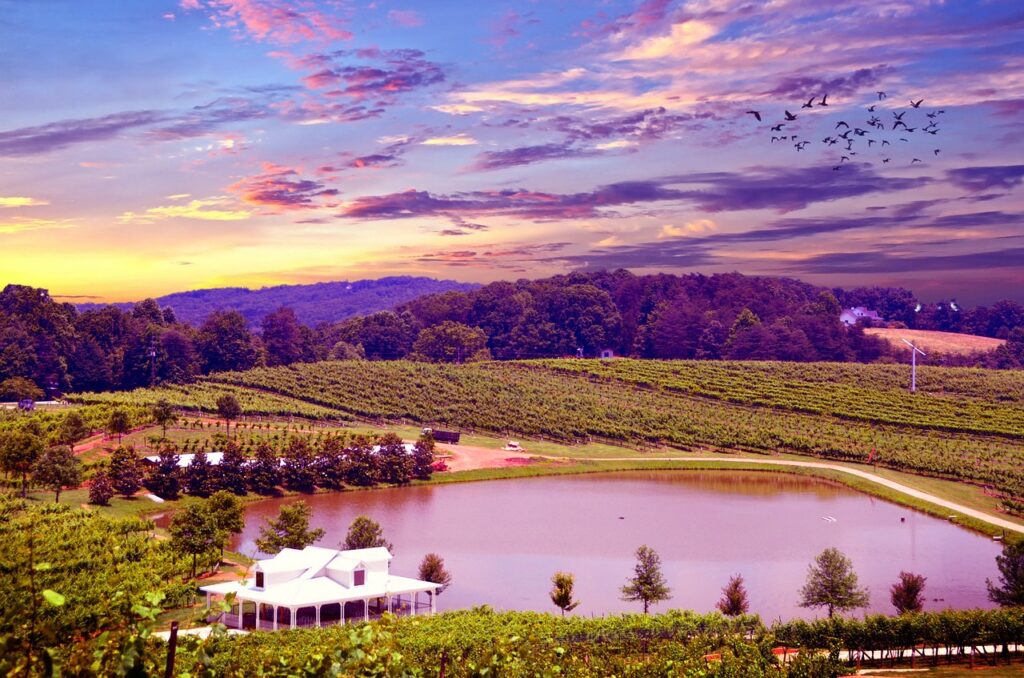 Best Wineries in California