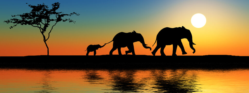 The 4 Most Beautiful Safaris In Africa