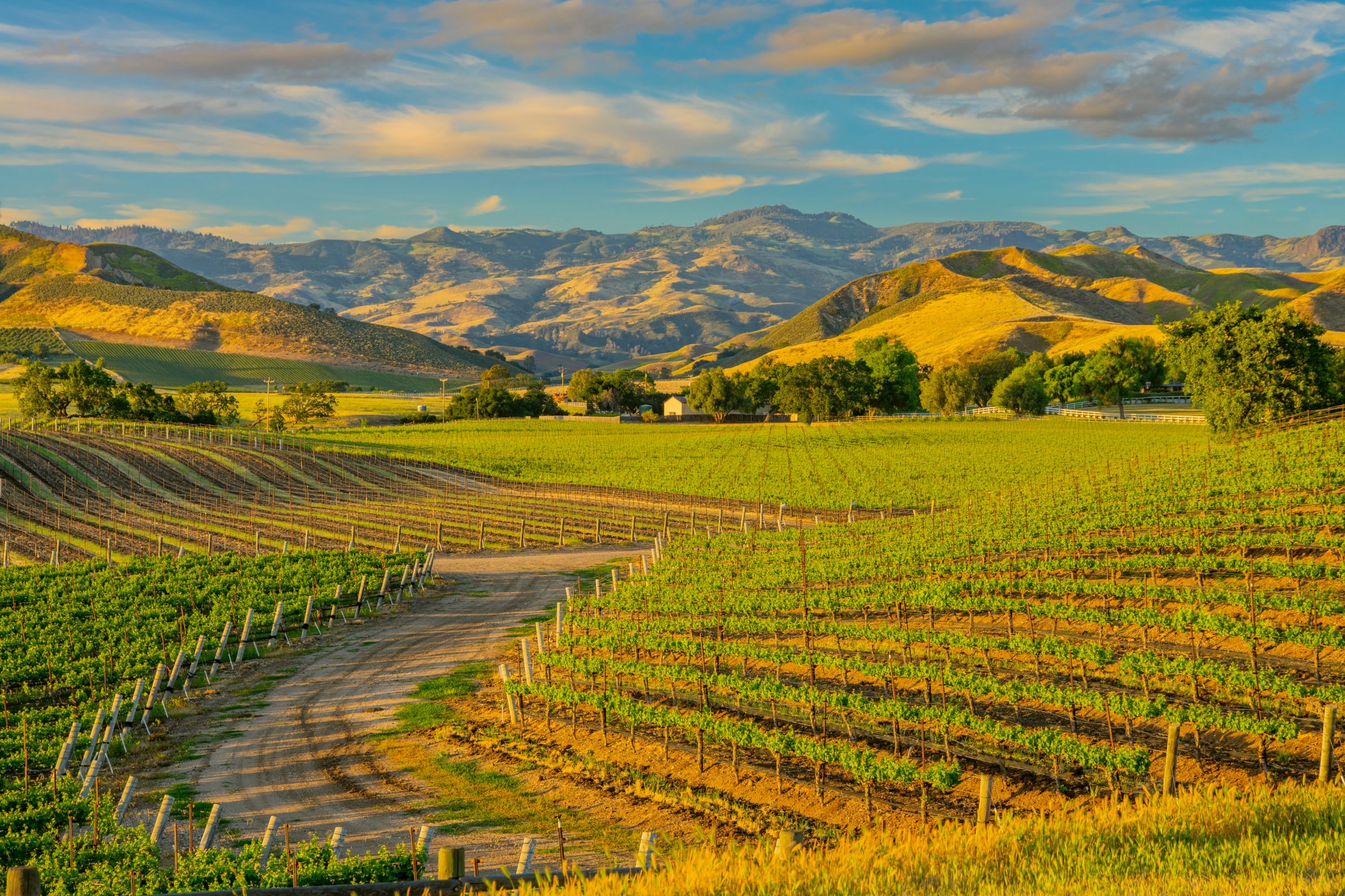 Unveiling the Magic of the Central Coast: A Guide to Crystal Wine Tours